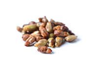 OLEJ Z PESTEK WINOGRON